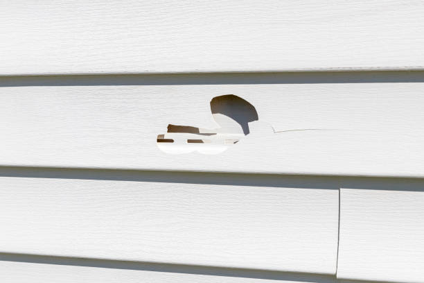 Affordable Siding Repair and Maintenance Services in Virginia Beach, VA